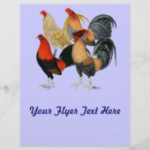 Vier Gamecocks Flyer (Voorkant)