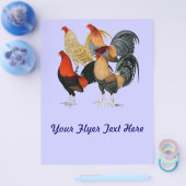 Vier Gamecocks Flyer (Enkel)