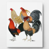 Vier Gamecocks Fotoplaat (Voorkant)