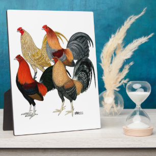 Vier Gamecocks Fotoplaat