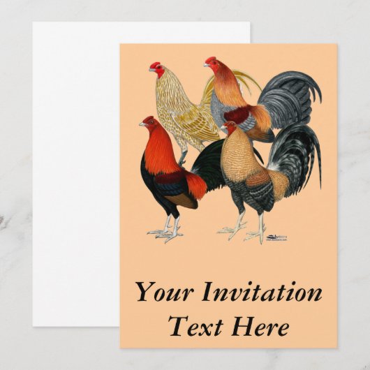 Vier Gamecocks Kaart (Voorkant / Achterkant)