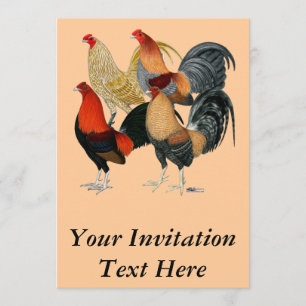 Vier Gamecocks Kaart