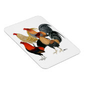 Vier Gamecocks Magneet (Rechterzijde)