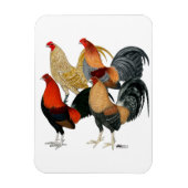 Vier Gamecocks Magneet (Verticaal)