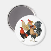 Vier Gamecocks Magneet (Voorkant / Achterkant)