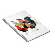 Vier Gamecocks Notitieboek (Rechterzijde)