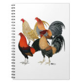 Vier Gamecocks Notitieboek (Voorkant)