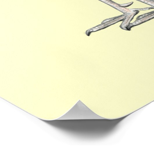 Vier Gamecocks Poster (Hoek)