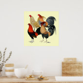 Vier Gamecocks Poster (Keuken)