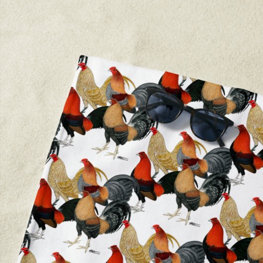 Vier Gamecocks Strandlaken (In situ)