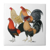 Vier Gamecocks Tegeltje (Voorkant)