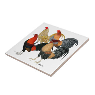Vier Gamecocks Tegeltje