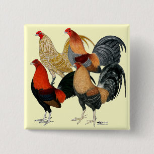Vier Gamecocks Vierkante Button 5,1 Cm