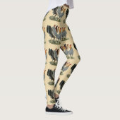 Vier gamefowl hennen leggings (Rechts)