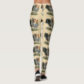 Vier gamefowl hennen leggings (Achterkant)