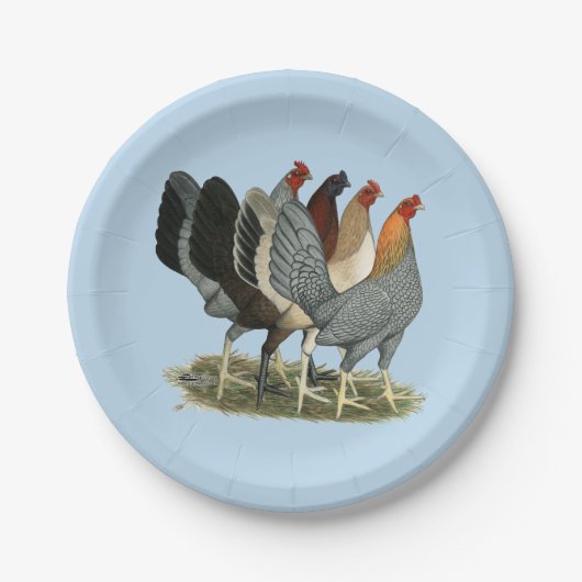 Vier gamefowl hennen papieren bordje (Voorkant)