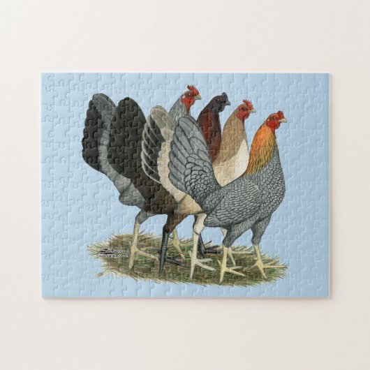 Vier Gamefowl Hens Legpuzzel (Horizontaal)