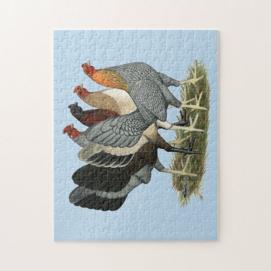 Vier Gamefowl Hens Legpuzzel (Verticaal)