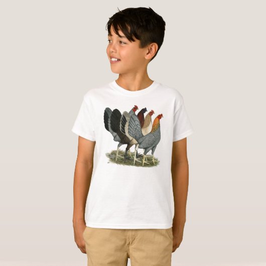 Vier Gamefowl Hens T-shirt (Voorkant volledig)