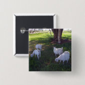 Vier geiten vierkante button 5,1 cm (Voorkant /achterkant)