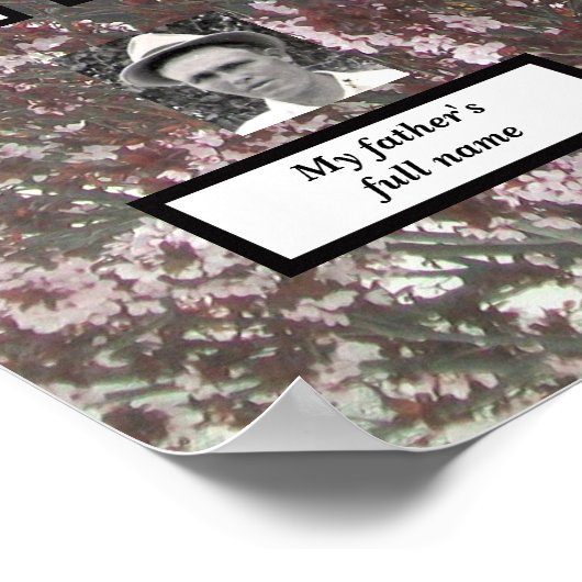 Vier generatie roze bloesems Poster (Hoek)