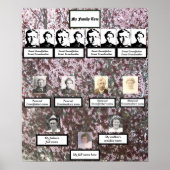 Vier generatie roze bloesems Poster (Voorkant)