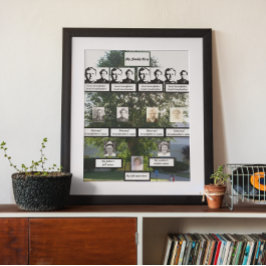 Vier-generatie Summertime Elm Familie - boomfoto's Poster