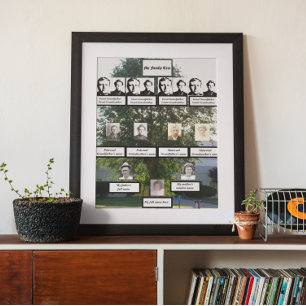 Vier-generatie Summertime Elm Familie - boomfoto's Poster