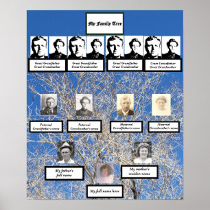 Vier generatieloze boomstamfoto's poster