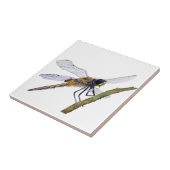 Vier gepotte dragonfly-Waterverf Tegeltje (Zijkant)