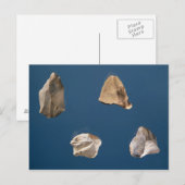 Vier gereedschappen, 35000-10000 voor Christus Briefkaart (Voorkant / Achterkant)