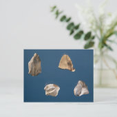 Vier gereedschappen, 35000-10000 voor Christus Briefkaart (Staand voorkant)
