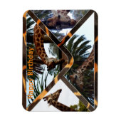 Vier Giraffes op een Giraffe-envelop, magneet (Verticaal)