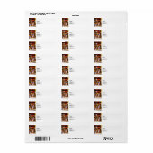 Vier Glass Candy Jars Etiket (Full Sheet)