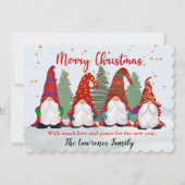 Vier gnomen in de sneeuw bij Kerstmis Feestdagenkaart (Voorkant)