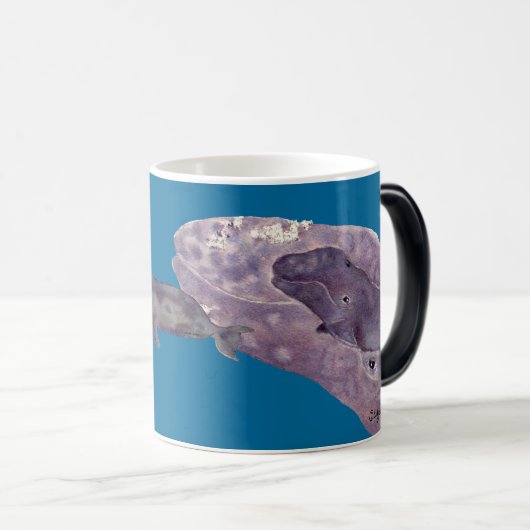 Vier grijze walvisbaby's en Mok van moeder (Voorkant rechts)