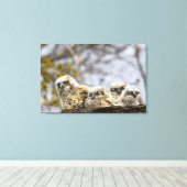 Vier grote kippen met een hoornvlieg (Bubo Virgini Canvas Afdruk (Insitu (Houten vloer))