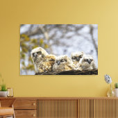 Vier grote kippen met een hoornvlieg (Bubo Virgini Canvas Afdruk (Insitu (Woonkamer))