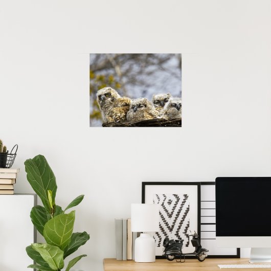 Vier grote kippen met een hoornvlieg (Bubo Virgini Poster (Thuiskantoor)