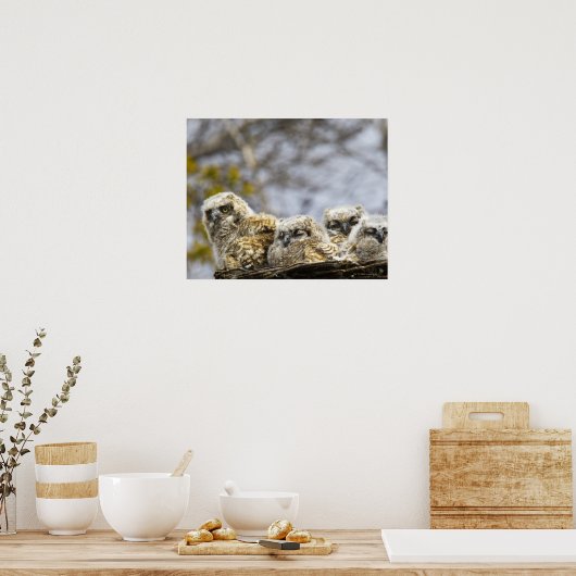 Vier grote kippen met een hoornvlieg (Bubo Virgini Poster (Keuken)