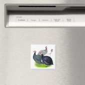 Vier Guinee Magneet (Insitu (Vaatwasser))