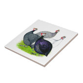 Vier Guinee Tegeltje (Zijkant)