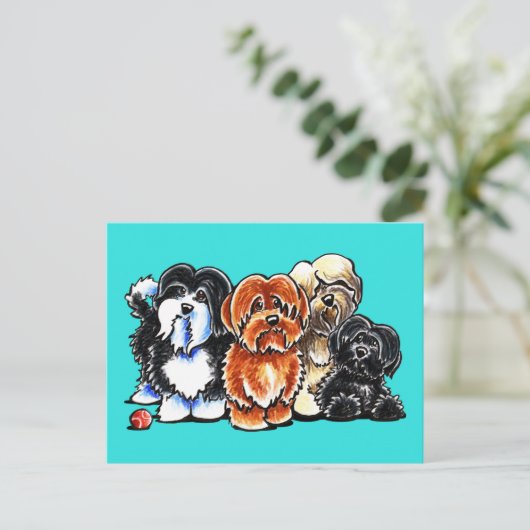 Vier Havanese Briefkaart (Staand voorkant)