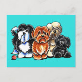 Vier Havanese Briefkaart (Voorkant)