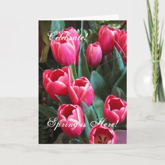 Vier! , Hier is de Lente! Feestdagen Kaart (Voorkant)