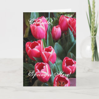 Vier! , Hier is de Lente! Feestdagen Kaart