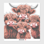 Vier Highland Koeien starend Sticker (Vel)