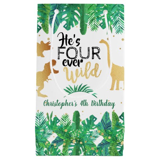 Vier jaar Wilde Dinosaur Boys vierde verjaardag Klein Cadeauzakje (Voorkant)