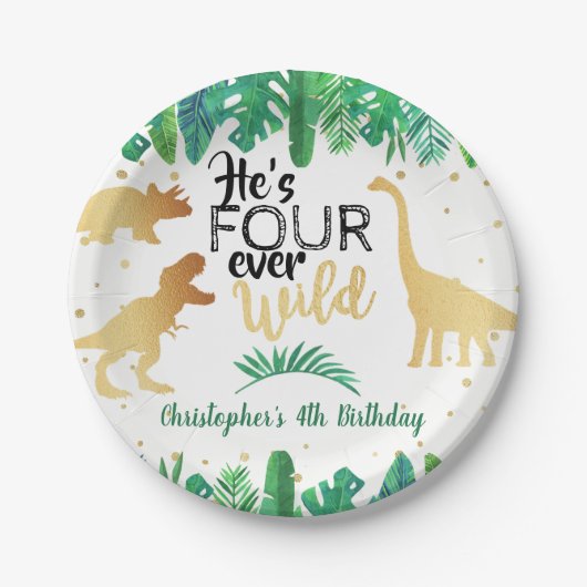 Vier jaar Wilde Dinosaur Boys vierde verjaardag Papieren Bordje (Voorkant)