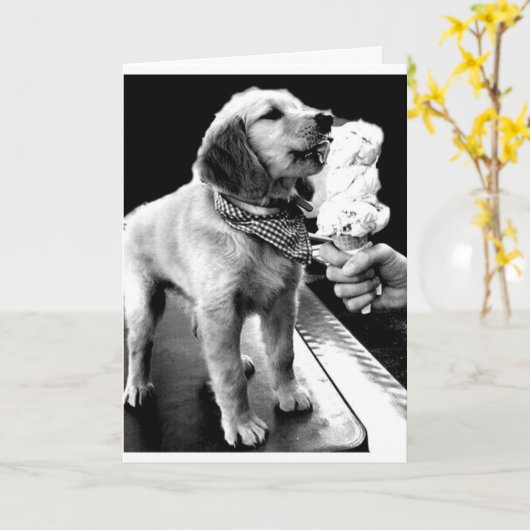 VIER "JE 40ste" met een ijsje! Kaart (Gele Bloem)